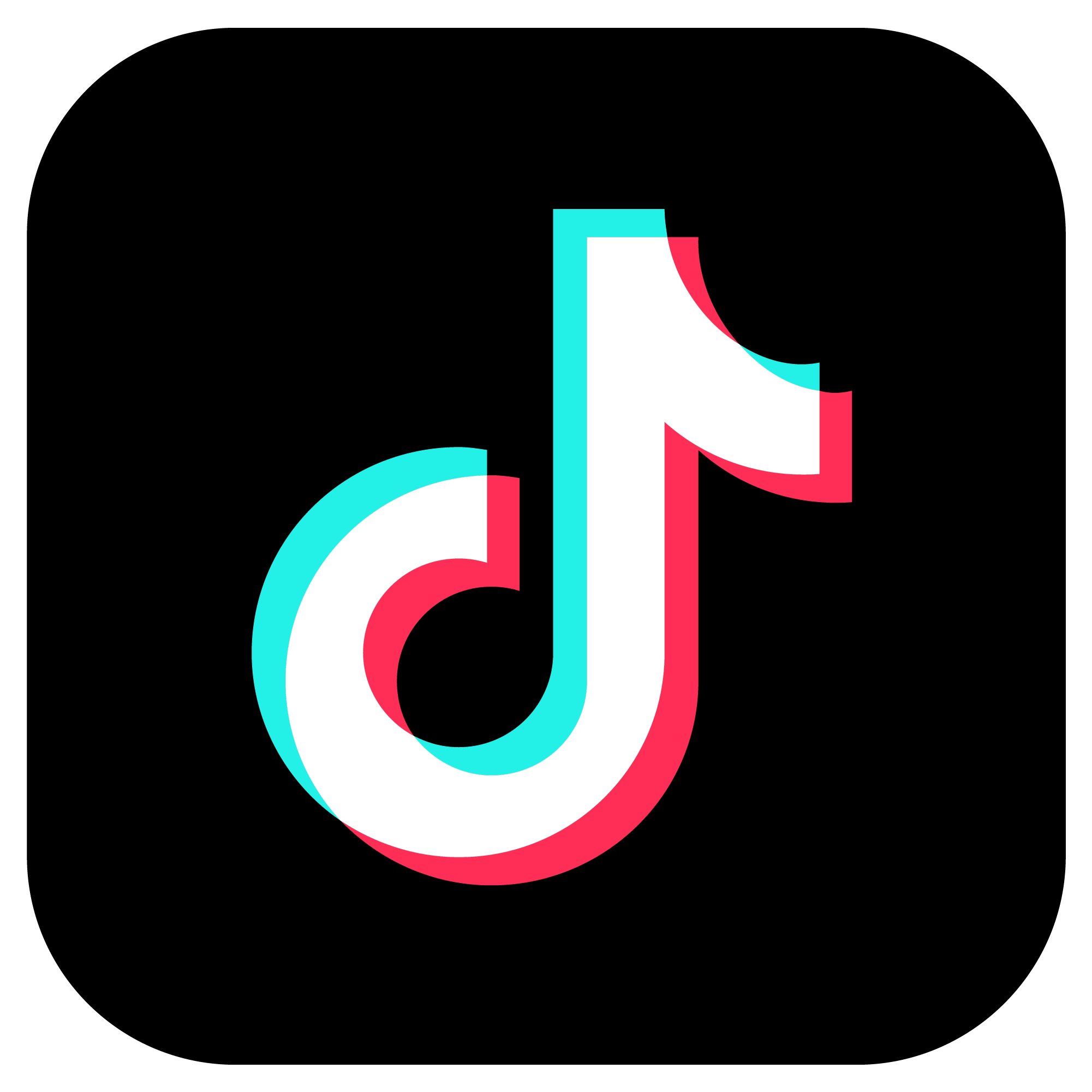 TIKTOK（DOUYIN）